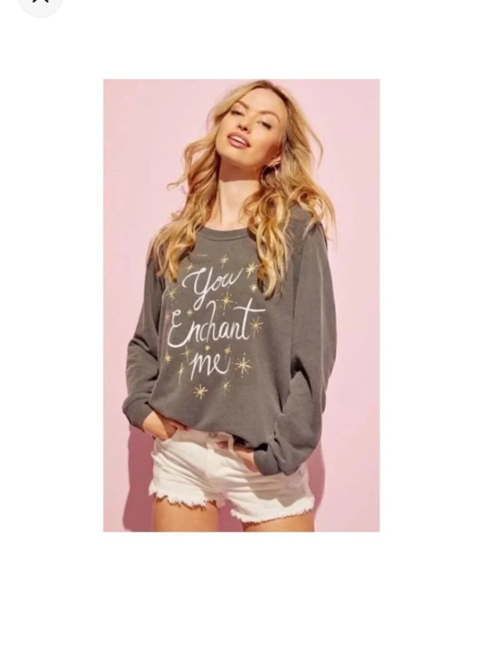 NWT WILDFOX You Enchant Me Sweatshirt Size L